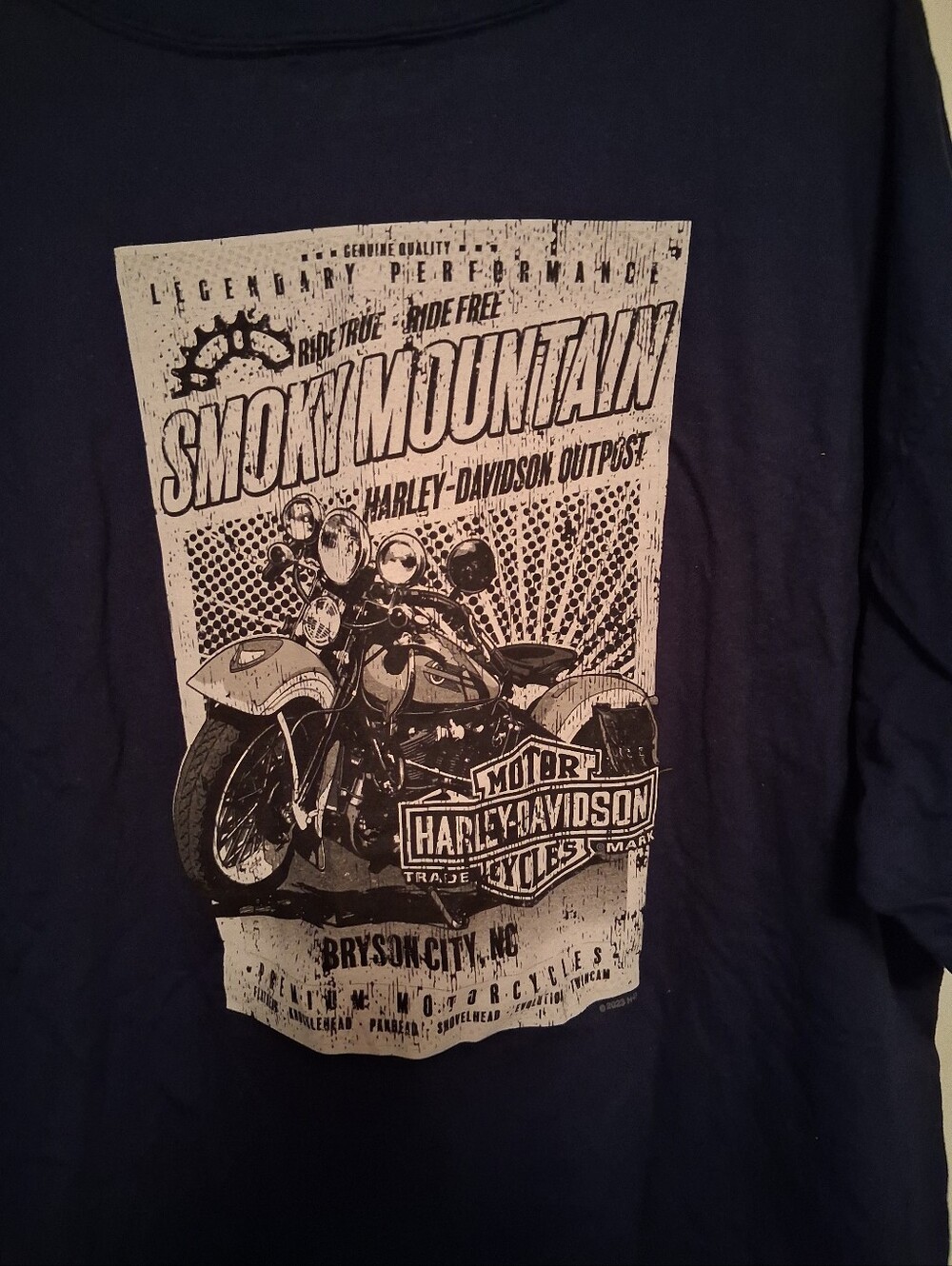Mens harley Davidson shirt,